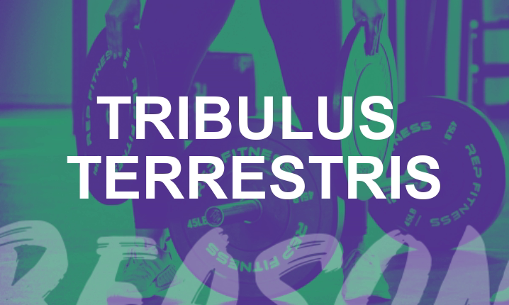 Tribulus terrestris - článek